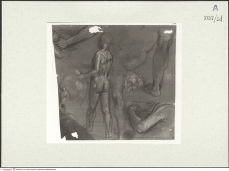 Vorderseite von bh489404_recto