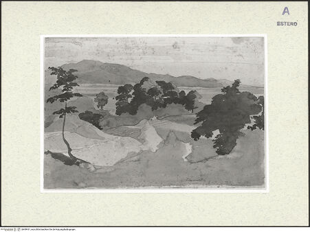 Vorderseite von bh489431_recto