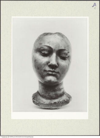 Vorderseite von bh489494_recto