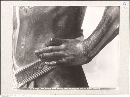 Vorderseite von bh489495_recto