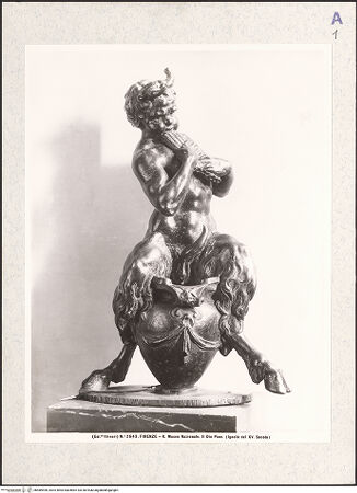 Vorderseite von bh489496_recto