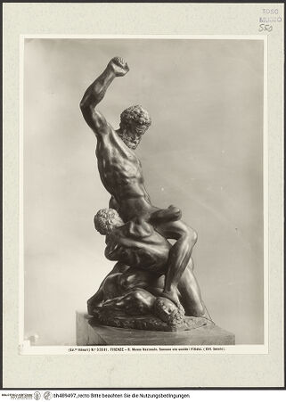 Vorderseite von bh489497_recto