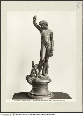 Vorderseite von bh489498_recto