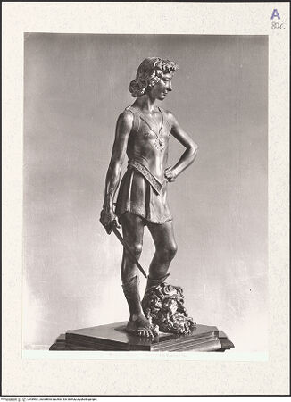 Vorderseite von bh489501_recto