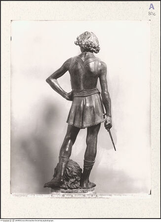 Vorderseite von bh489504_recto