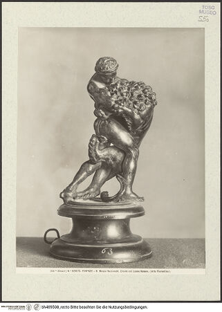 Vorderseite von bh489508_recto