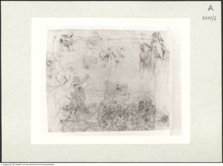 Vorderseite von bh489587_recto