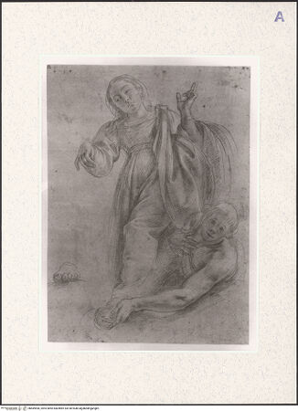 Vorderseite von bh489596_recto