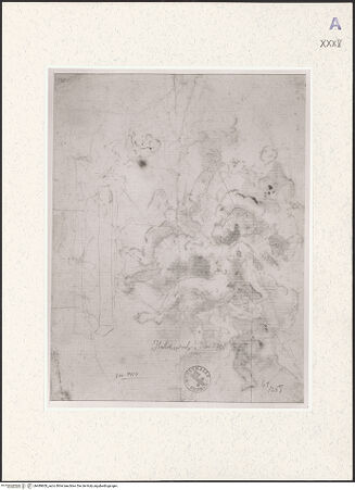 Vorderseite von bh489600_recto