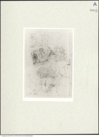 Vorderseite von bh489610_recto