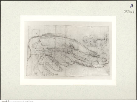 Vorderseite von bh489612_recto