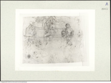 Vorderseite von bh489645_recto