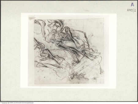 Vorderseite von bh489647_recto