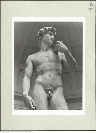 Vorderseite von bh489676_recto