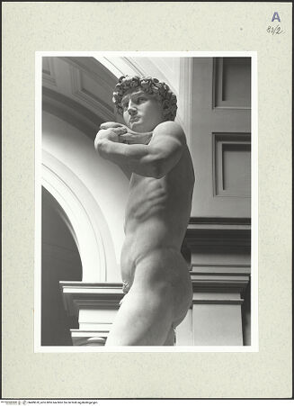 Vorderseite von bh489678_recto