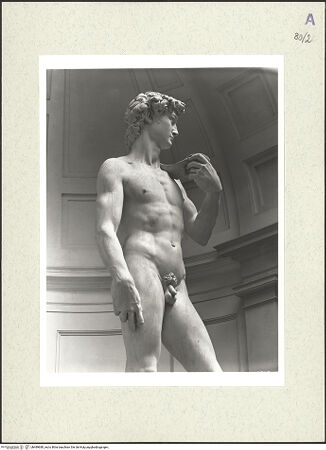 Vorderseite von bh489680_recto