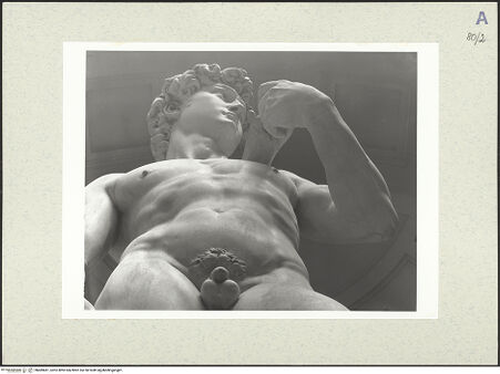 Vorderseite von bh489681_recto