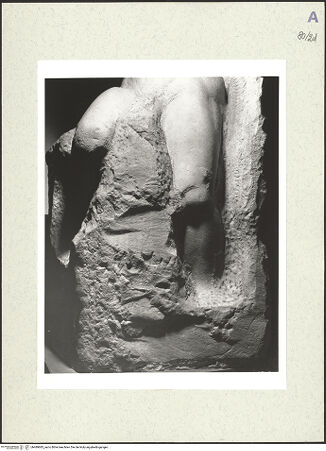 Vorderseite von bh489685_recto