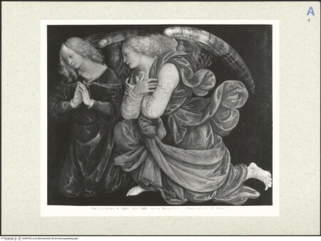 Vorderseite von bh489730_recto