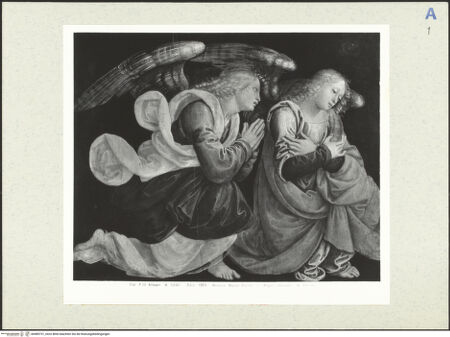 Vorderseite von bh489731_recto