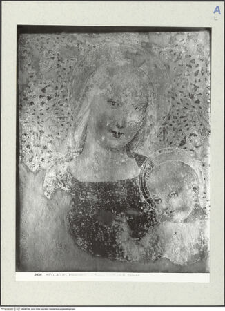 Vorderseite von bh489758_recto