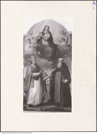 Vorderseite von bh489799_recto