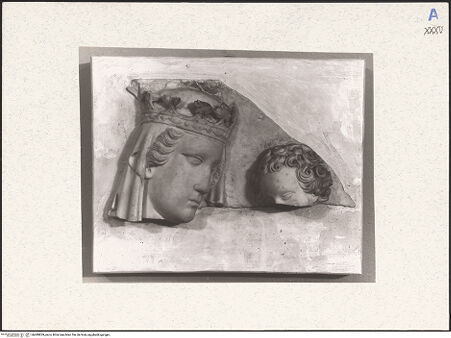 Vorderseite von bh489829_recto