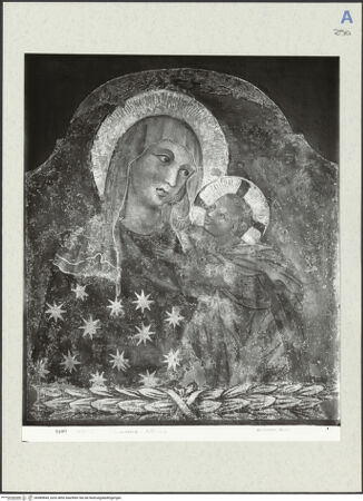 Vorderseite von bh489849_recto