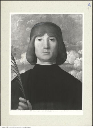 Vorderseite von bh489855_recto