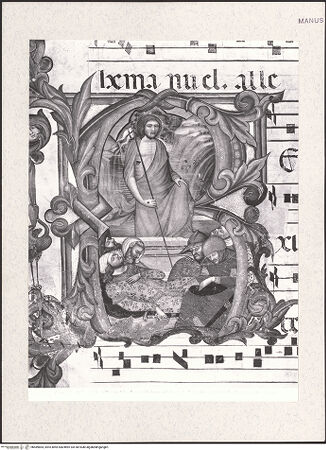 Vorderseite von bh489864_recto