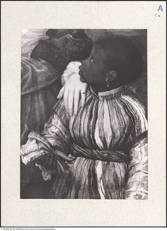 Vorderseite von bh489950_recto