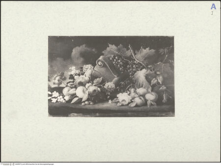 Vorderseite von bh489973_recto