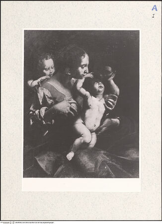 Vorderseite von bh489988_recto