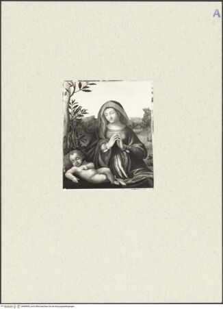 Vorderseite von bh489993_recto