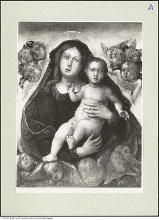 Vorderseite von bh490002_recto