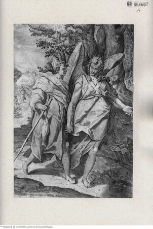 Vorderseite von Savio, Oscar [http://creativecommons.org/publicdomain/mark/1.0/] Tobias und der Engel - , bh490010. Foto: Savio, Oscar.