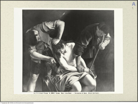 Vorderseite von bh490082_recto