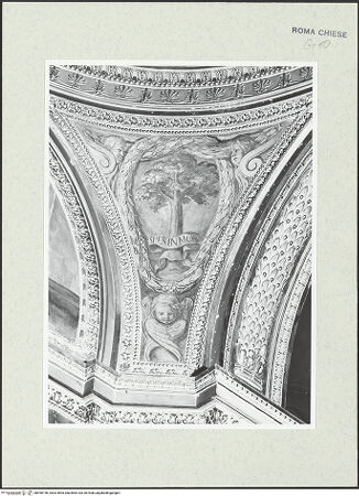 Vorderseite von bh490196_recto