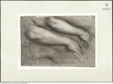 Vorderseite von bh490464_recto