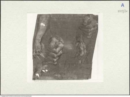 Vorderseite von bh490465_recto