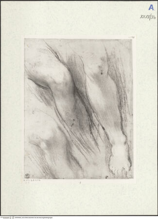 Vorderseite von bh490466_recto