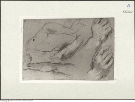 Vorderseite von bh490470_recto