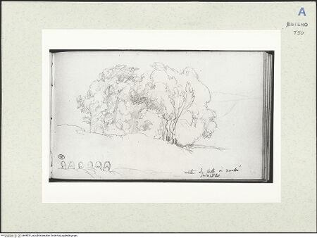 Vorderseite von bh490531_recto