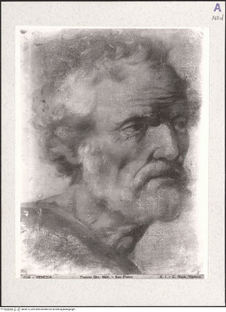 Vorderseite von bh490715_recto