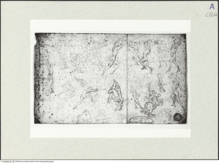 Vorderseite von bh490724_recto