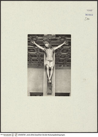 Vorderseite von bh490781_recto