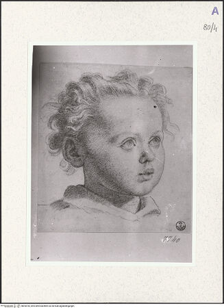 Vorderseite von bh490784_recto