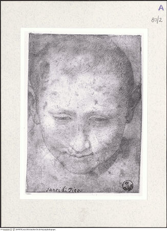 Vorderseite von bh490785_recto