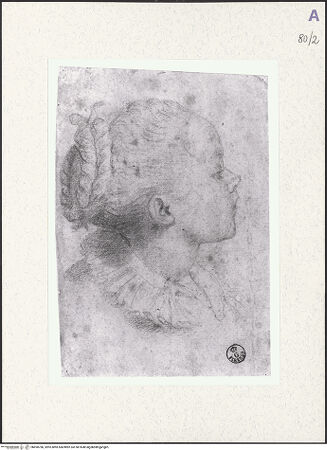 Vorderseite von bh490786_recto