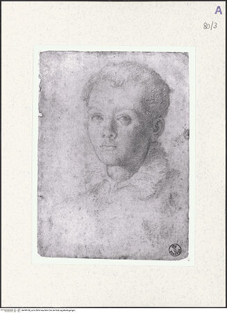 Vorderseite von bh490788_recto